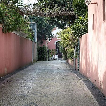 Lovelystay - Sunny Flat W/ Balcony Overseeing Graca And River Lisboa 外观 照片